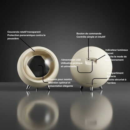 Remontoir Automatique Globe - Lomerta – Remontoir de montre automatique | Lomerta